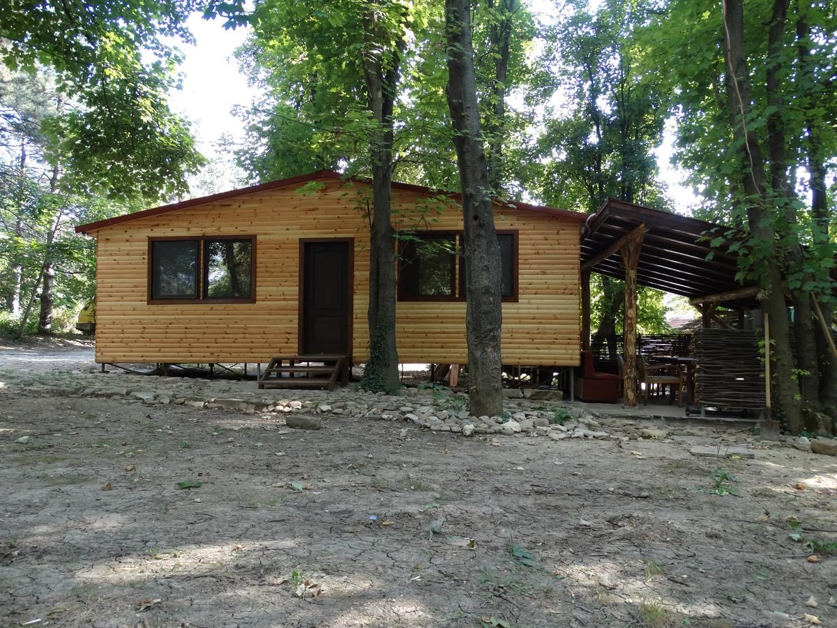 Курортные отели Hotel Grivitsa Плевен